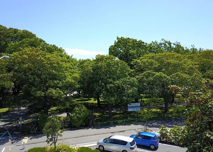 Modern 1 Bedroom Apartment Across From Hagley Park