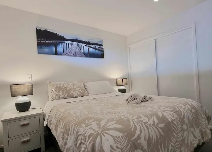 Modern 1 Bedroom Apartment Across From Hagley Park
